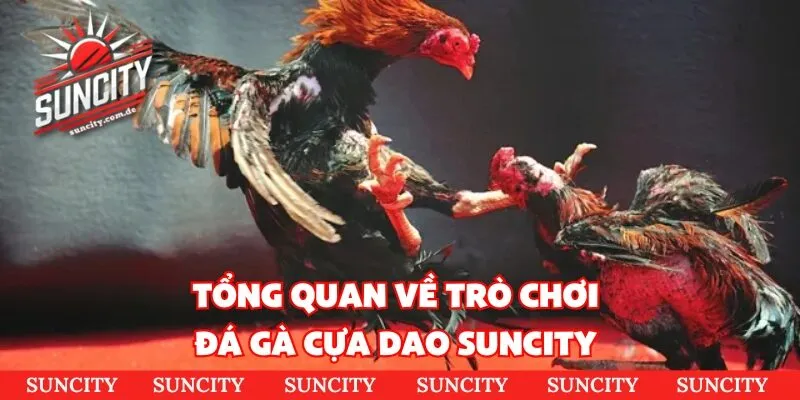 Tổng quan về trò chơi đá gà cựa dao Suncity