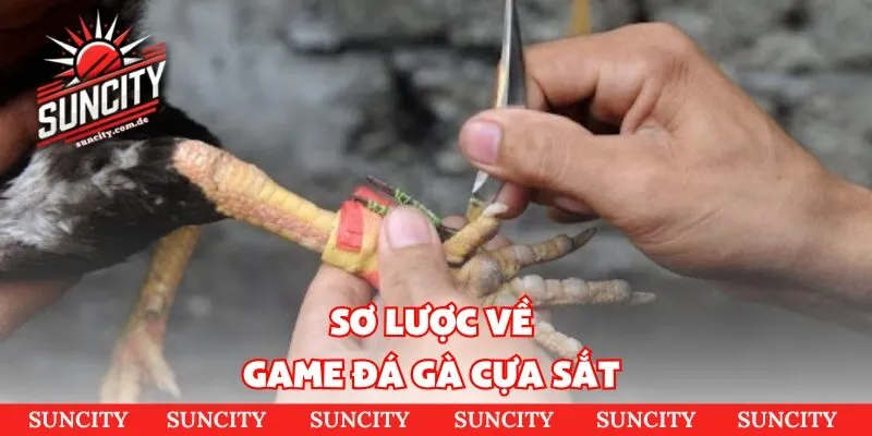 Sơ lược về game đá gà cựa sắt