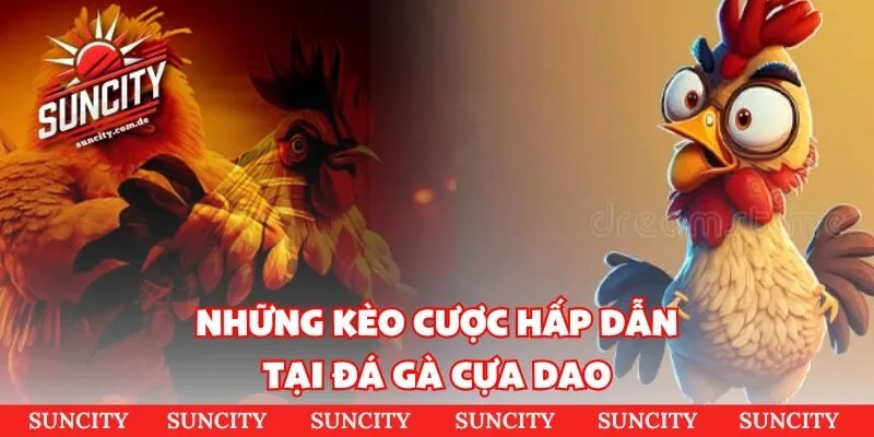 Tổng hợp hình thức cược đá gà Thomo phổ biến nhất