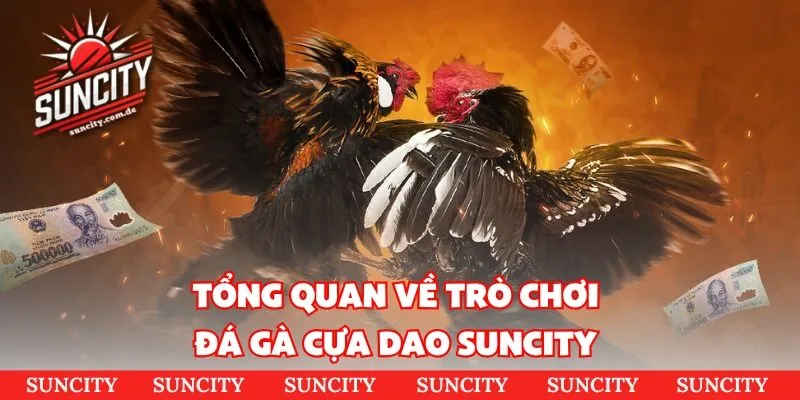 Sơ lược những thông tin cơ bản về đá gà Thomo