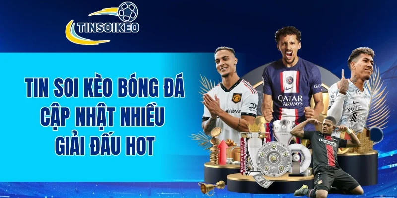Các trận đấu hot tại trang tin soi kèo